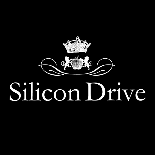 Silicon Drive
